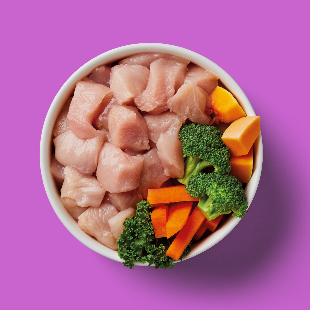 Bowl of Nutriment raw senior chicken with broccoli, kale, carrot and squash