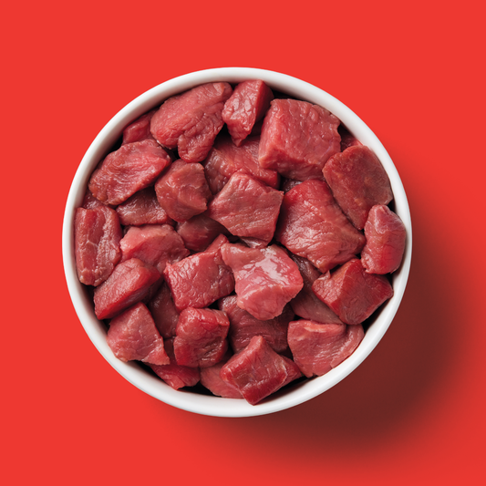 Bowl of Nutriment raw beef cat food