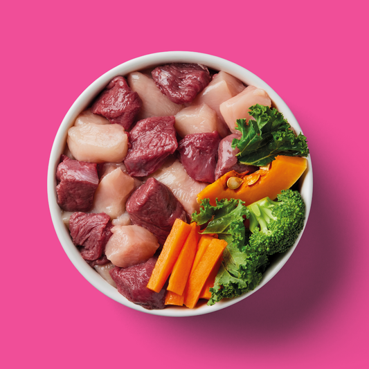 Bowl of Nutriment raw venison and chicken with broccoli, kale, carrot and pumpkin