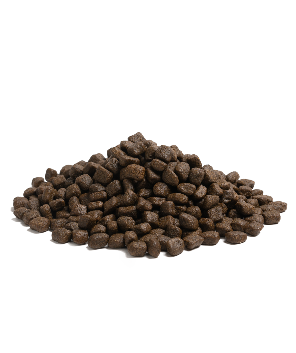Close-up of Essential Foods Nautical Living kibble