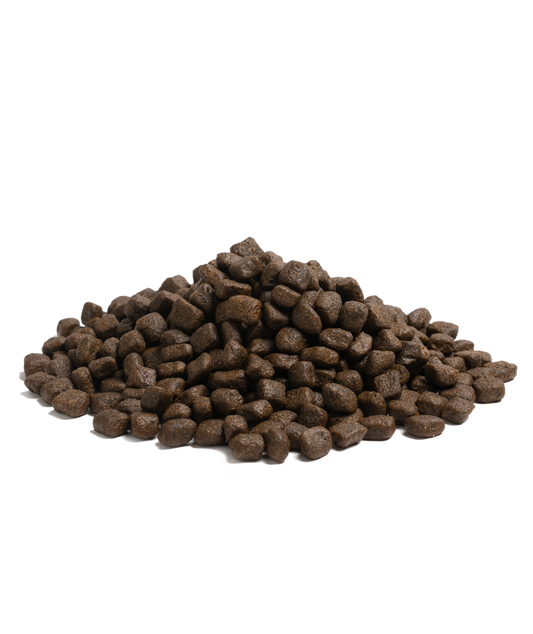 Close-up of Essential Foods Nautical Living kibble