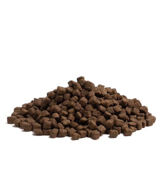 Close-up of Essential Foods Estate Living kibble