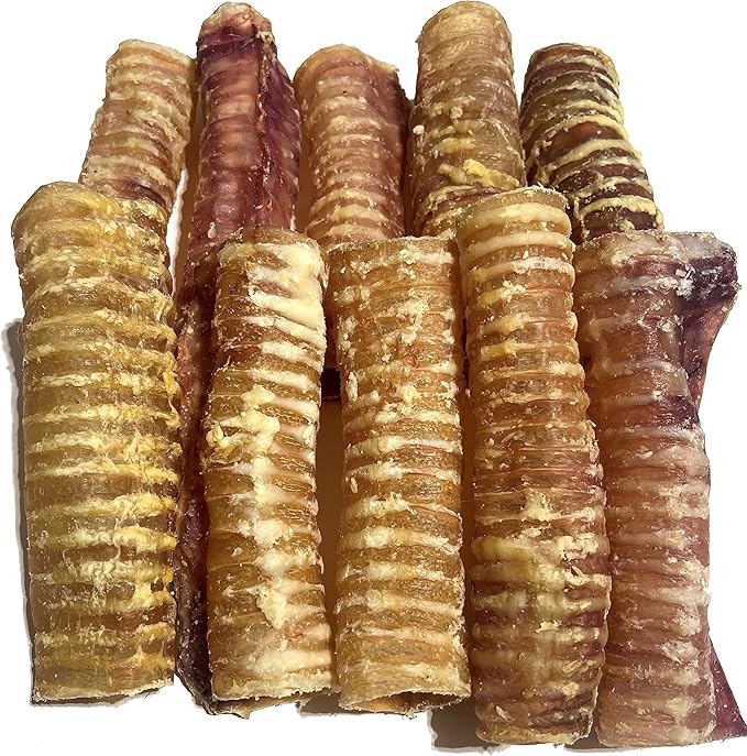 Large Beef Trachea x 1