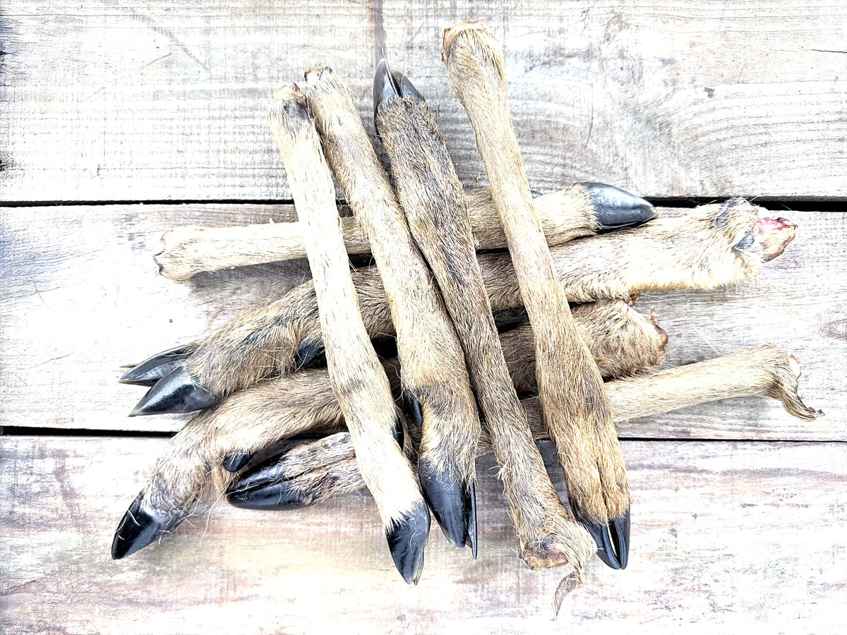 Venison Leg