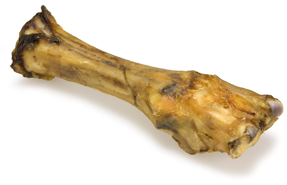 Beef Leg Bone x 1