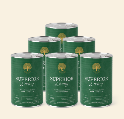 Essential Foods Pate 400g Superior Living