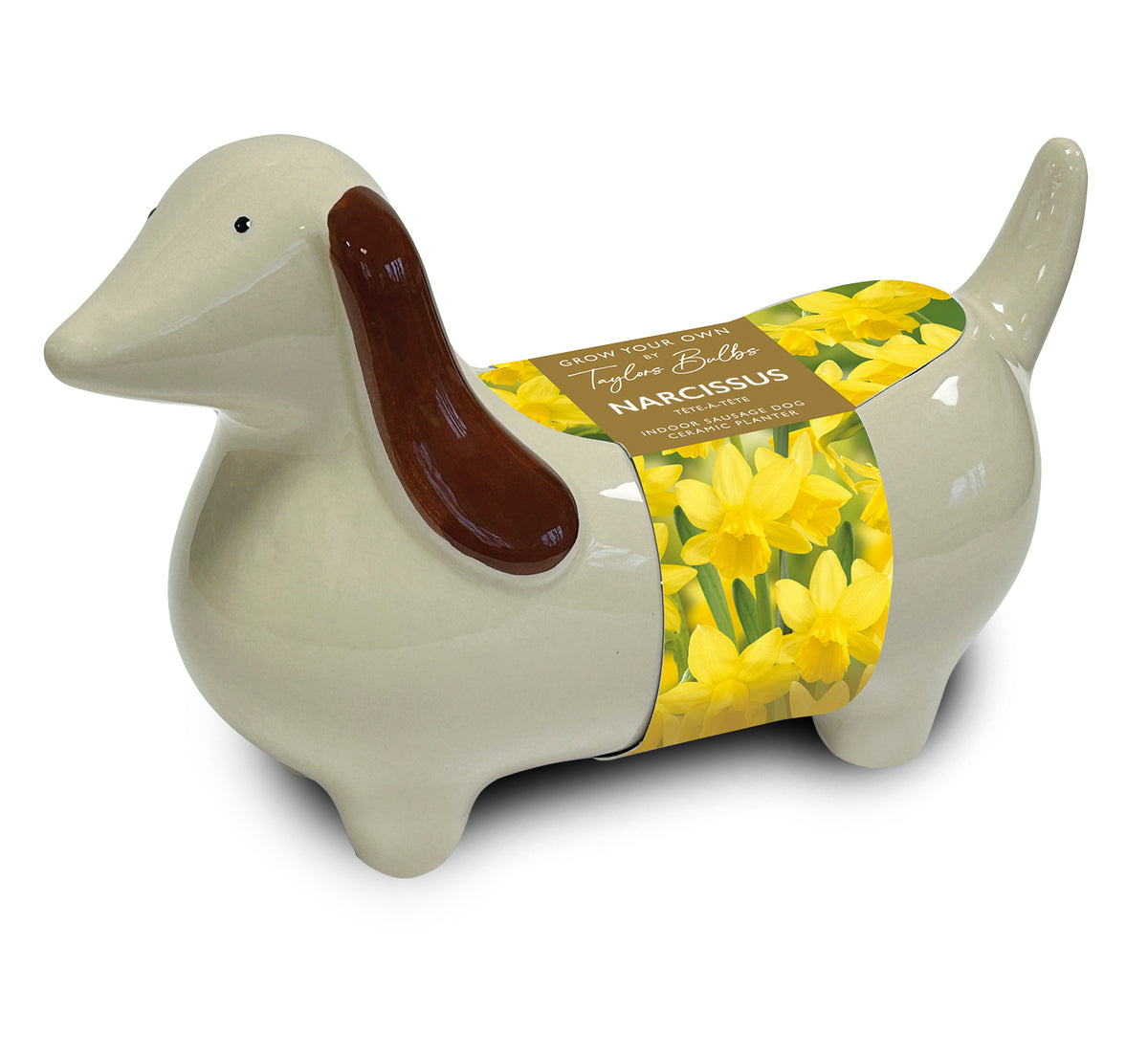 Taylors Bulbs Novelty Sausage Dog Planter