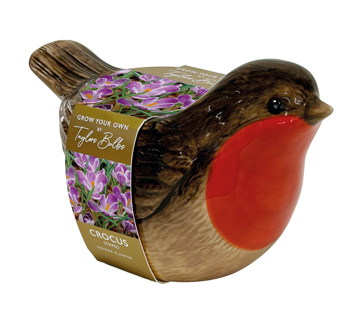 Taylors Bulbs Novelty Robin Planter