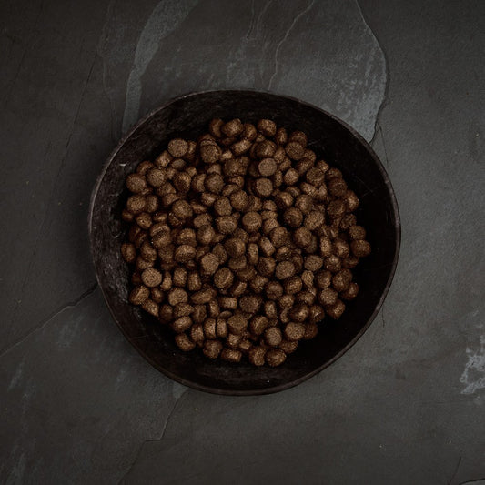 Canagan Highland Feast dry dog food kibble in a bowl