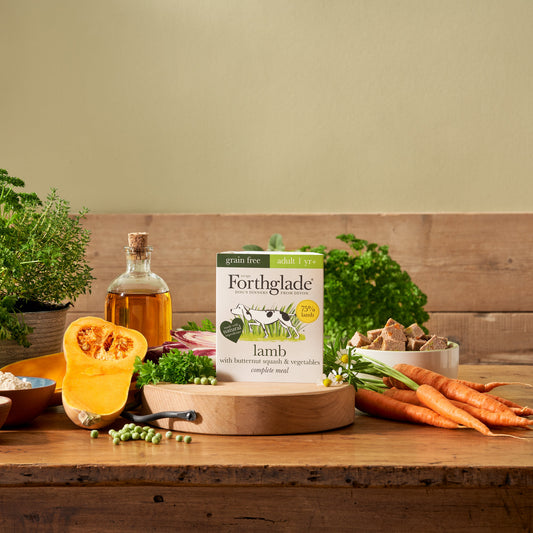 Forthglade grain free adult lamb with butternut squash and vegetables tray on a wooden table with fresh ingredients