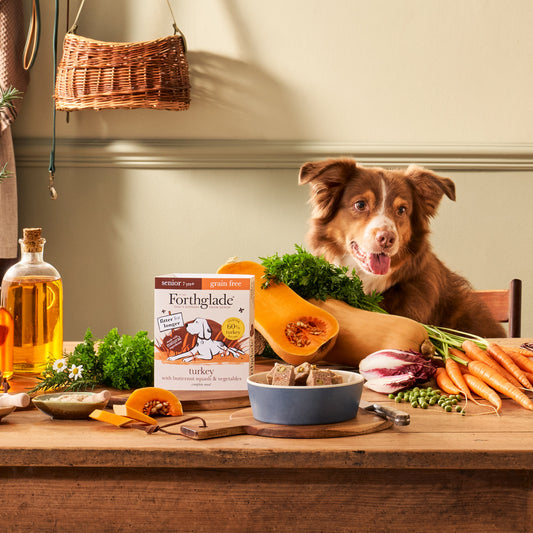 Forthglade senior grain free turkey with butternut squash and vegetables tray beside a bowl of the food