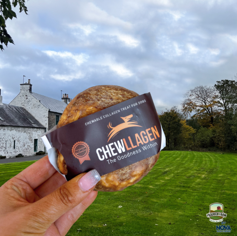 Chewllagen Beef Donut
