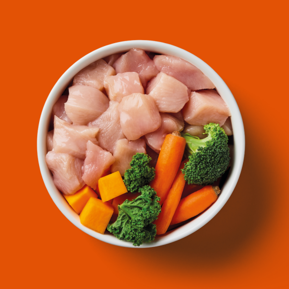 Bowl of Nutriment raw chicken with broccoli, kale, carrot and squash