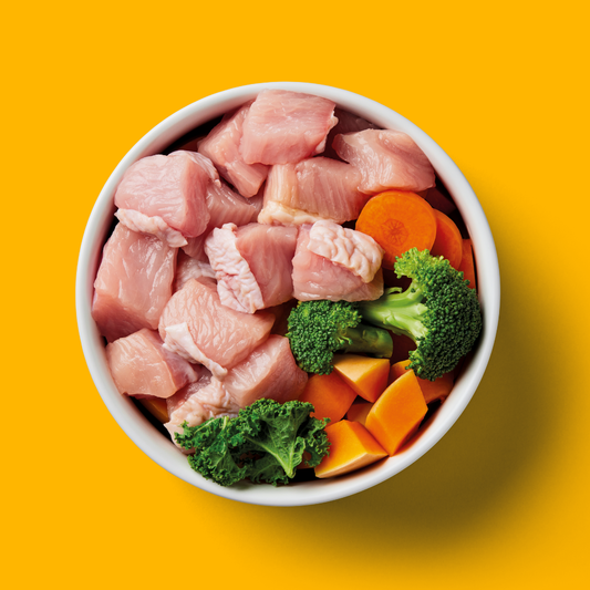 Bowl of Nutriment raw turkey with broccoli, kale, carrot and squash