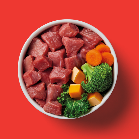 Bowl of Nutriment raw boneless beef with broccoli, kale, carrot and squash