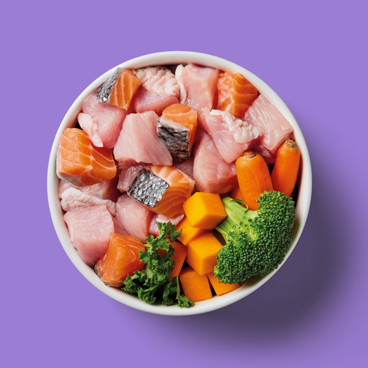 Bowl of Nutriment raw salmon and turkey with broccoli, kale, carrot and squash