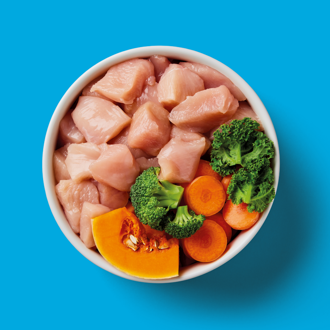 Bowl of Nutriment raw puppy chicken with broccoli, kale, carrot and pumpkin