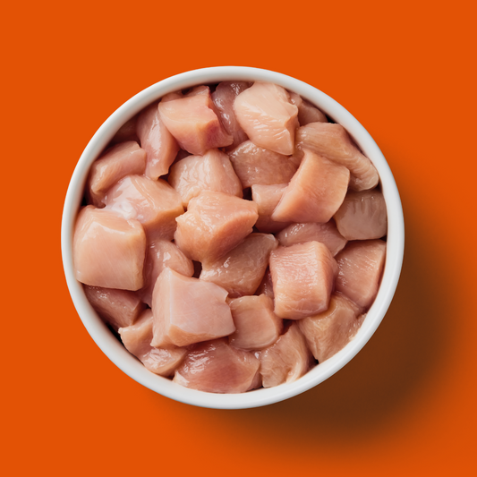 Bowl of Nutriment raw chicken cat food