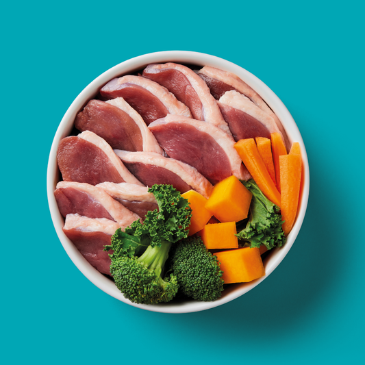 Bowl of Nutriment raw duck with broccoli, kale, carrot and squash