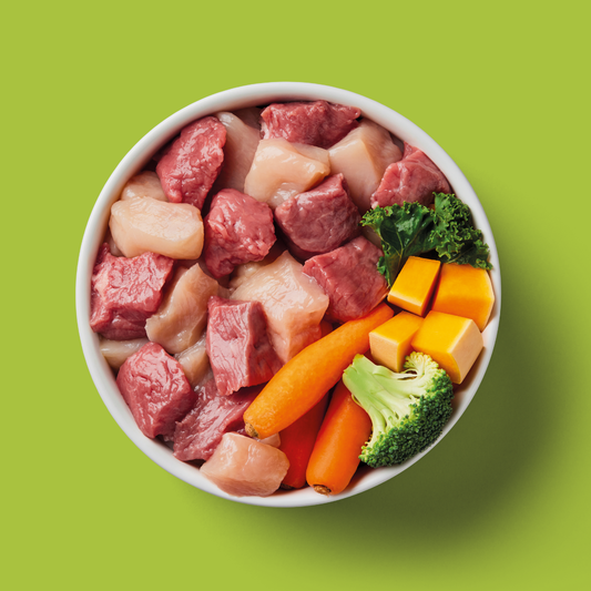 Bowl of Nutriment raw chicken and lamb with broccoli, kale, carrot and squash