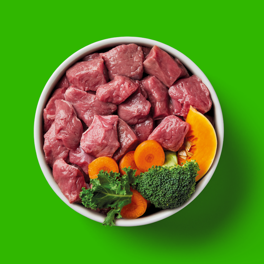 Bowl of Nutriment raw lamb with broccoli, kale, carrot and pumpkin