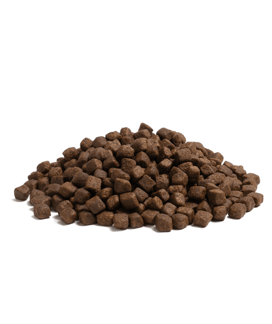 Close-up of Essential Foods Superior Living kibble