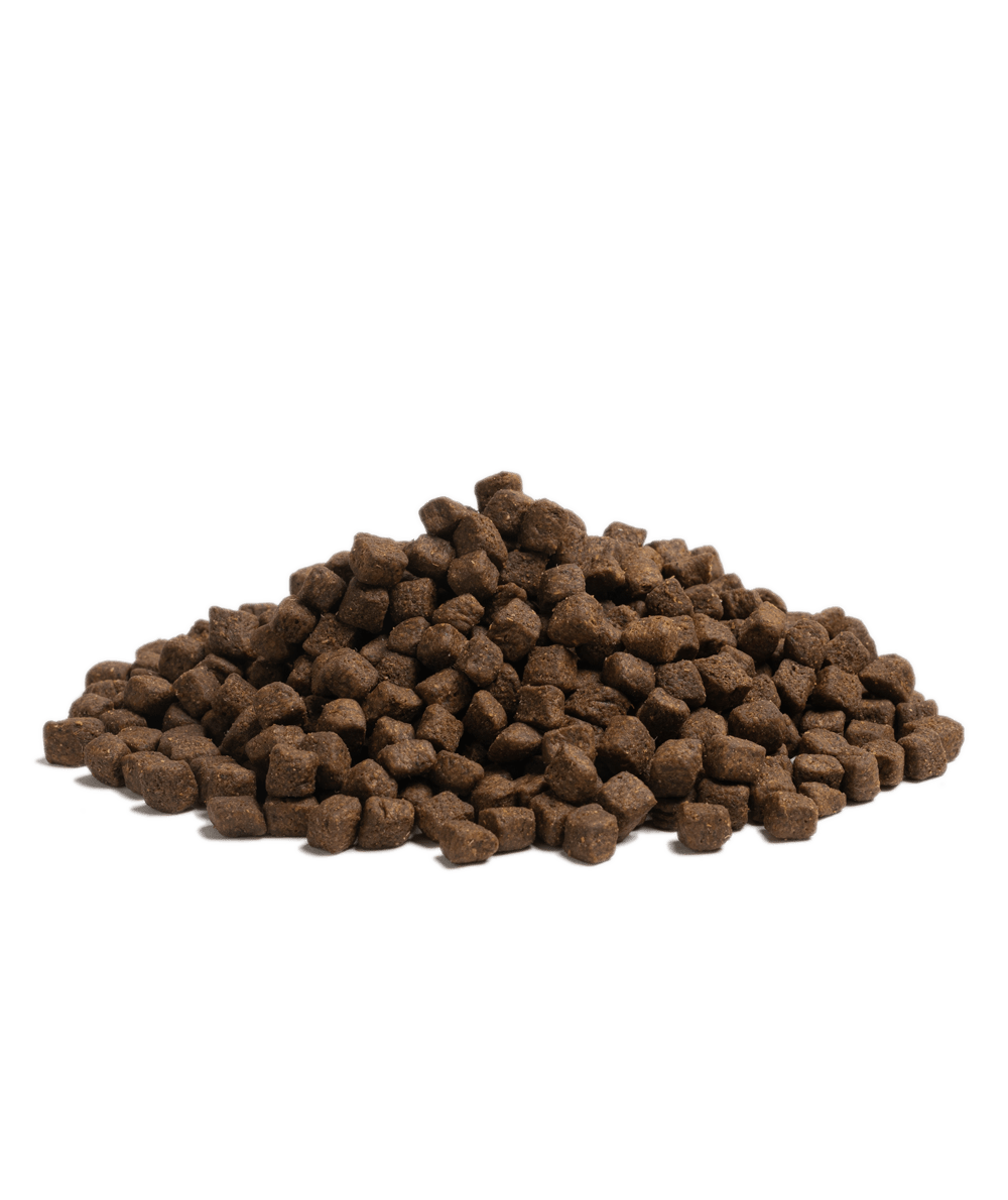 Close-up of Essential Foods Estate Living kibble