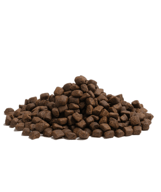 Close-up of Essential Foods Stamina kibble