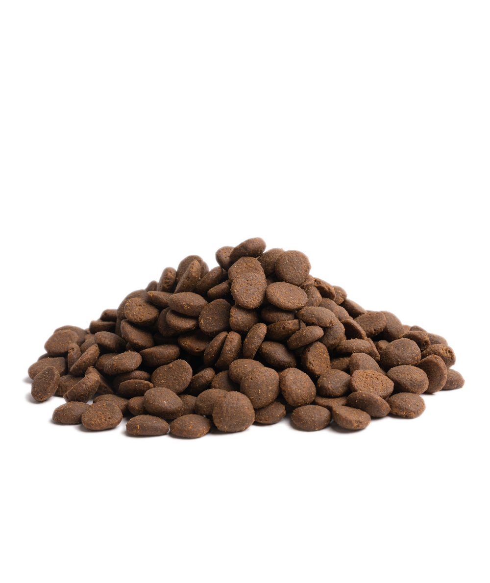 Close-up of Essential Foods Stamina kibble