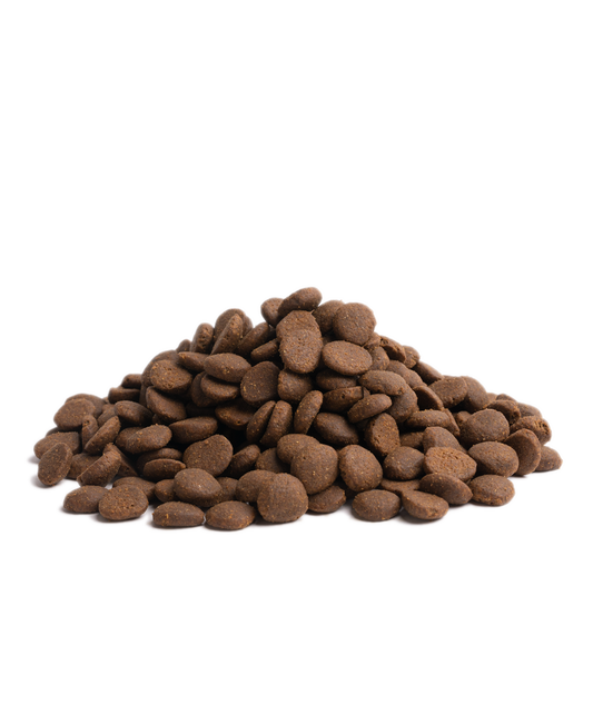 Close-up of Essential Foods Stamina kibble