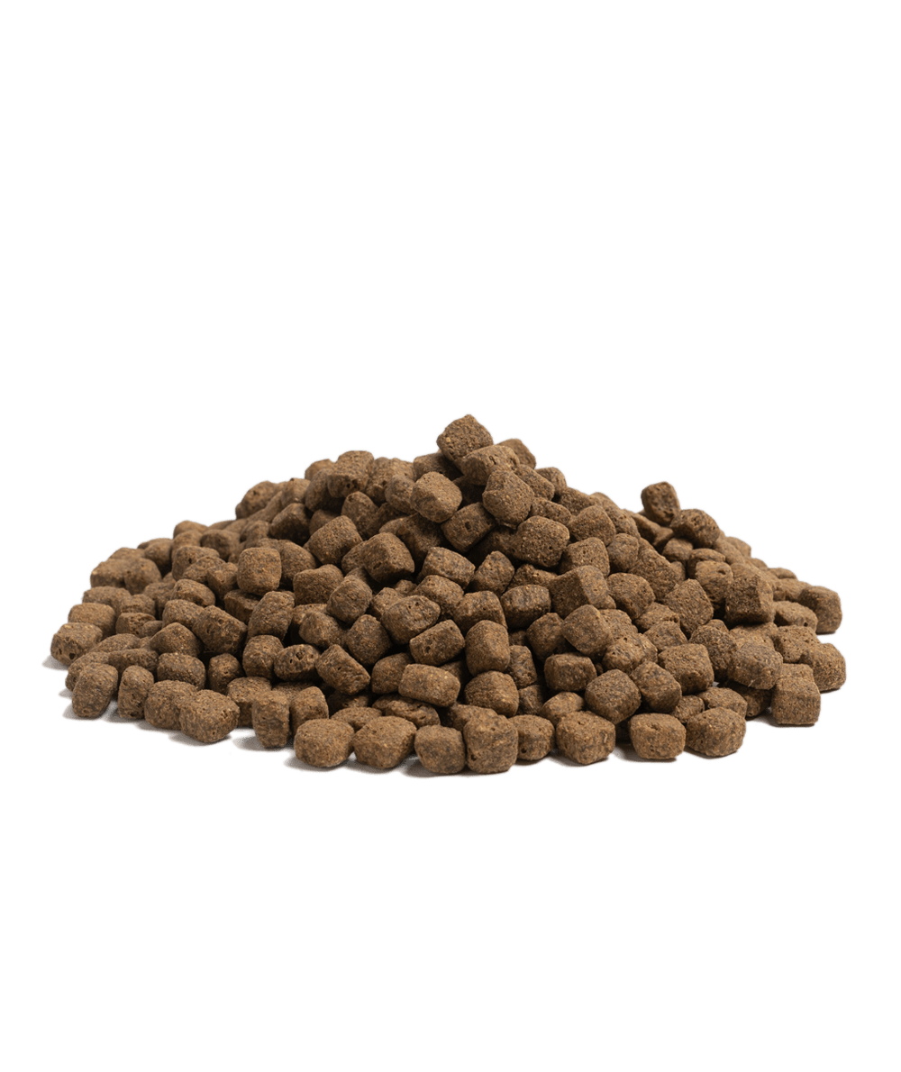 Close-up of Essential Foods Contour kibble
