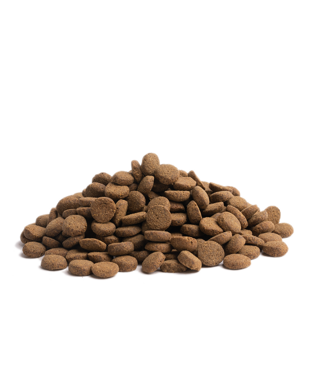 Close-up of Essential Foods Contour kibble