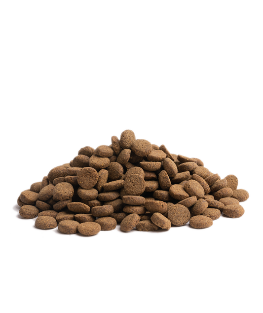 Close-up of Essential Foods Contour kibble