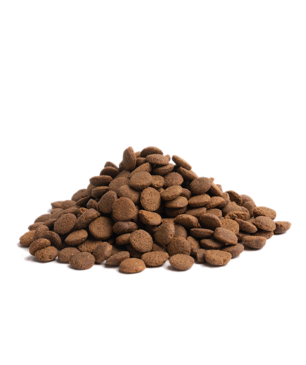 Close-up of Essential Foods Highland Living kibble