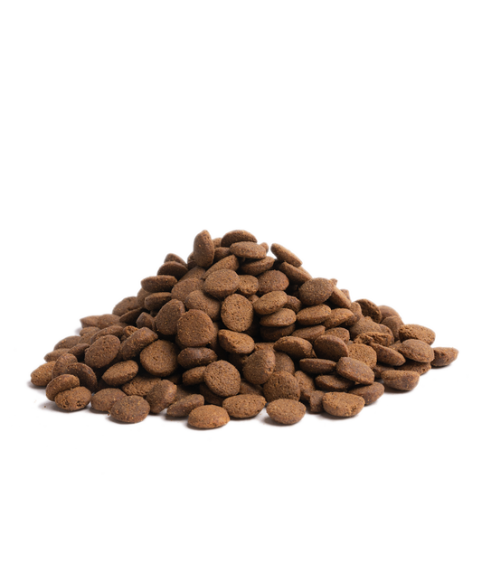 Close-up of Essential Foods Highland Living kibble