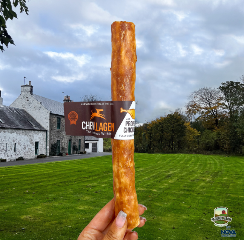 Chewllagen Chicken Stick 10 inch