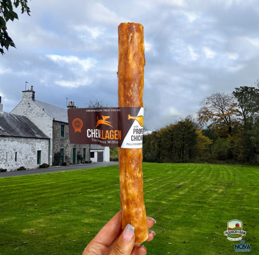 Chewllagen Chicken Stick 10 inch