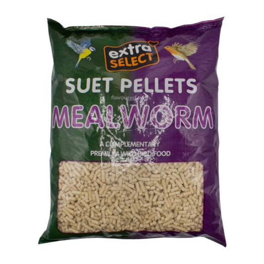 Extra Select Mealworm Suet Pellets 3kg