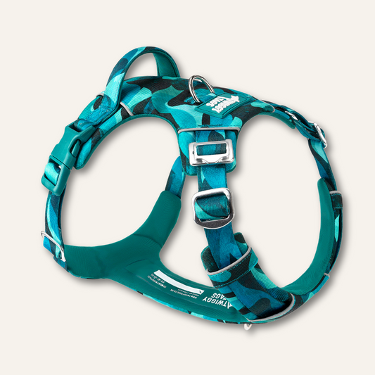 Twiggy Tags Adventure 2.0 Harness Lagoon