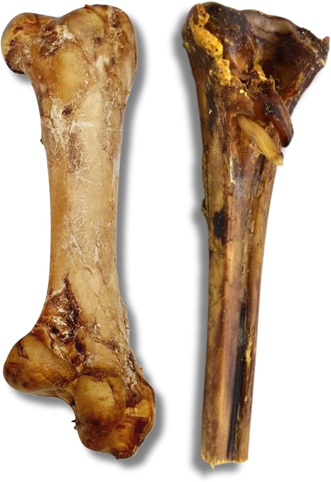Ostrich Metatarsus Bone