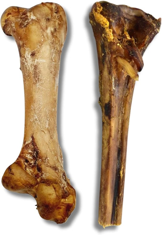 Ostrich Metatarsus Bone