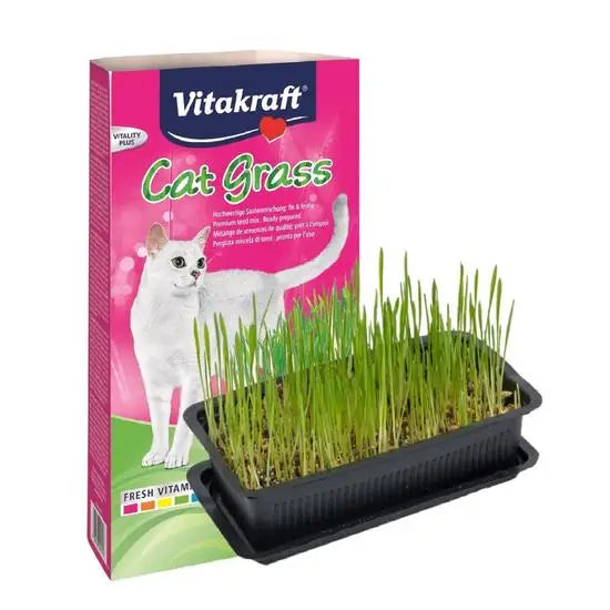 Vitakraft Cat Grass Kit