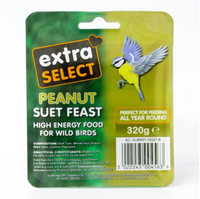 Extra Select Peanut Suet Block 320g