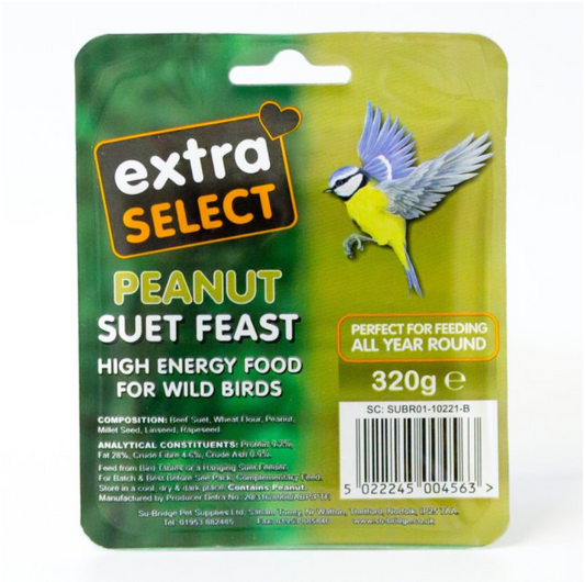 Extra Select Peanut Suet Block 320g
