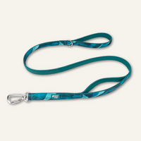 Twiggy Tags Adventure Close Control Lead Lagoon