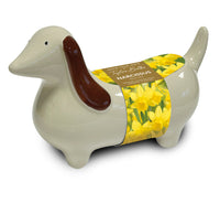 Taylors Bulbs Novelty Sausage Dog Planter