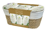 Taylors Bulbs Large Hyacinth Basket White