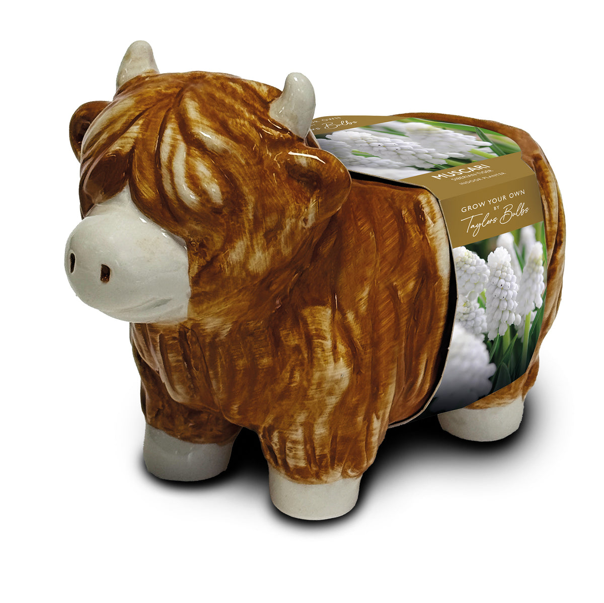 Taylors Bulbs Novelty Highland Cow Planter