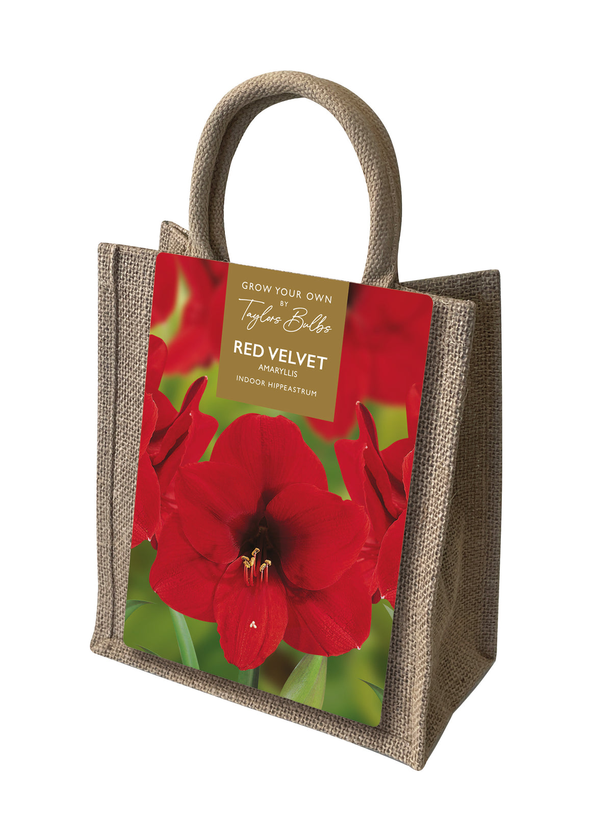 Taylors Bulbs Amaryllis Red Velvet Hippeastrum Jute Bag