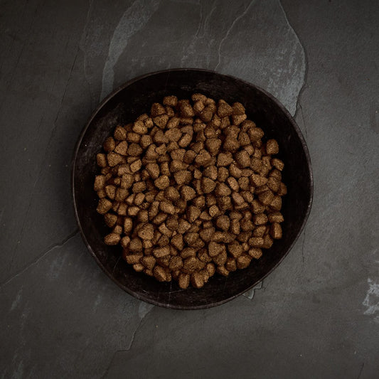 Canagan Free-Range Chicken dry dog food kibble in a bowl